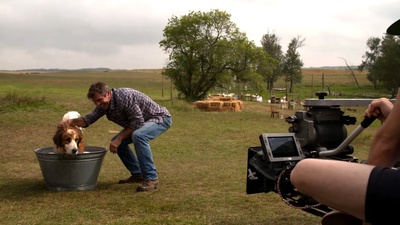 一条狗的使命剧照的剧照