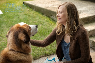 一条狗的使命剧照的剧照