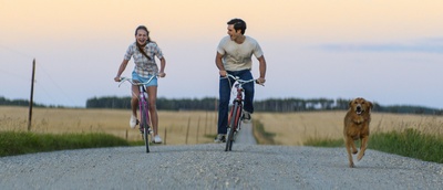 一条狗的使命剧照的剧照