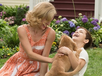 一条狗的使命剧照的剧照