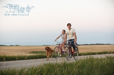 一条狗的使命剧照的剧照