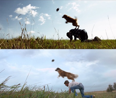 一条狗的使命剧照的剧照