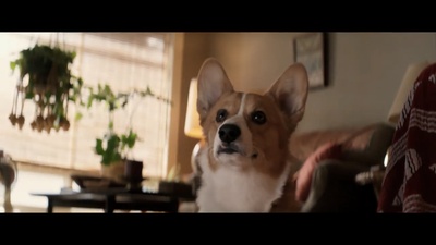 一条狗的使命剧照的剧照