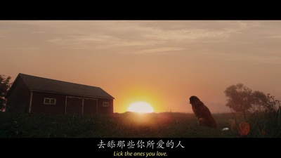 一条狗的使命剧照的剧照