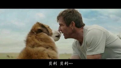 一条狗的使命剧照的剧照