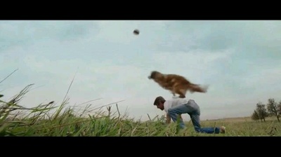 一条狗的使命剧照的剧照