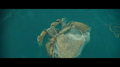 加勒比海盗2：聚魂棺剧照的剧照