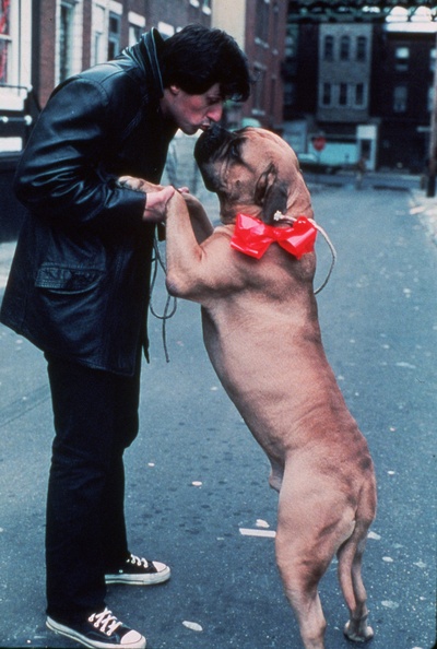 洛奇剧照的剧照