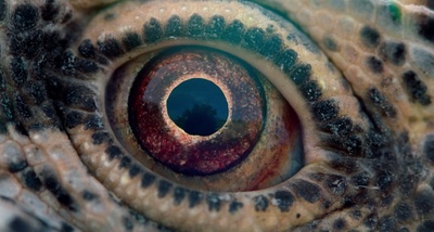 时间之旅剧照的剧照