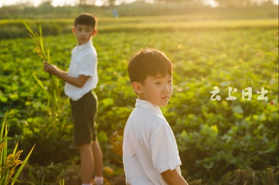 云上日出剧照的剧照