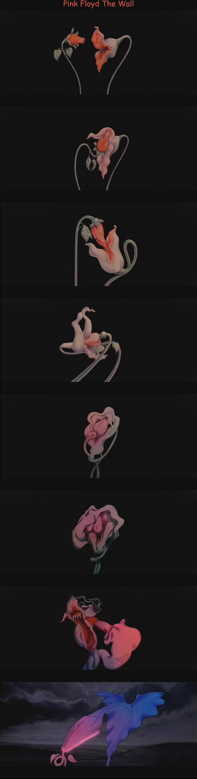 迷墙剧照的剧照