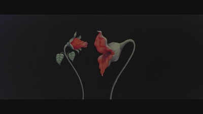 迷墙剧照的剧照