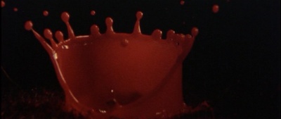 迷墙剧照的剧照