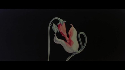 迷墙剧照的剧照