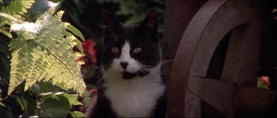 迷墙剧照的剧照