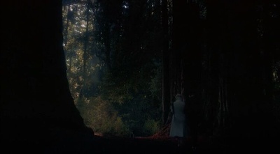 迷魂记剧照的剧照