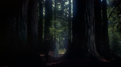 迷魂记剧照的剧照