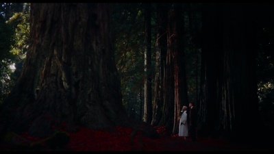 迷魂记剧照的剧照