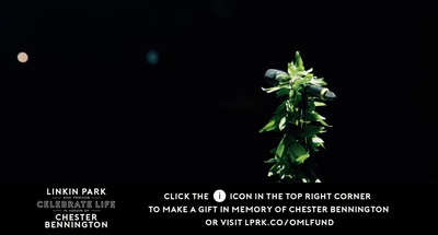 林肯公园纪念演唱会剧照的剧照