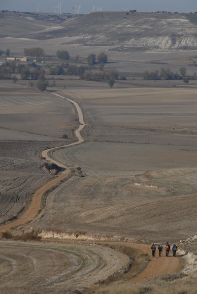 朝圣之路剧照的剧照