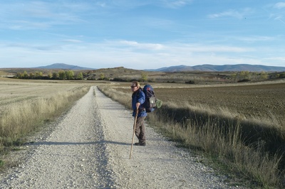 朝圣之路剧照的剧照