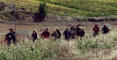 朝圣之路剧照的剧照