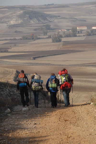 朝圣之路剧照的剧照