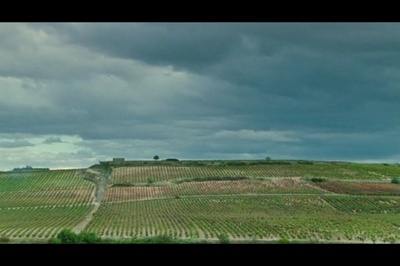 朝圣之路剧照的剧照