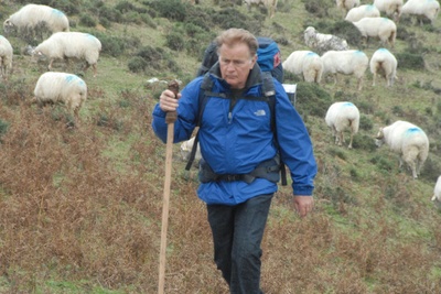 朝圣之路剧照的剧照