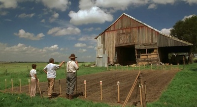 二手狮王剧照的剧照