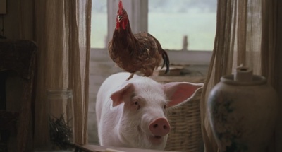 二手狮王剧照的剧照