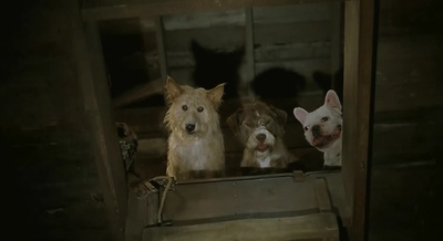 二手狮王剧照的剧照