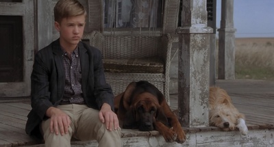 二手狮王剧照的剧照