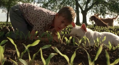 二手狮王剧照的剧照