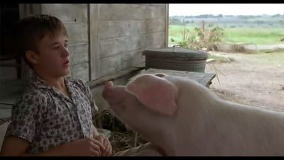 二手狮王剧照的剧照