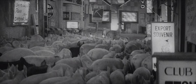 猪与军舰剧照的剧照