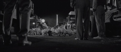 猪与军舰剧照的剧照