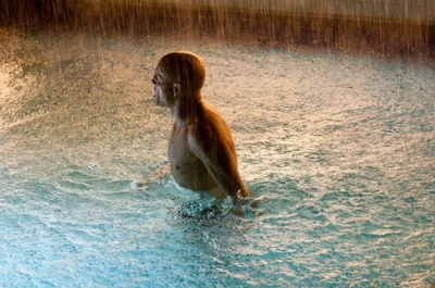 堡垒剧照的剧照