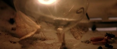 妖夜慌踪剧照的剧照