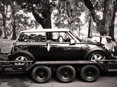 猛虎之家剧照的剧照