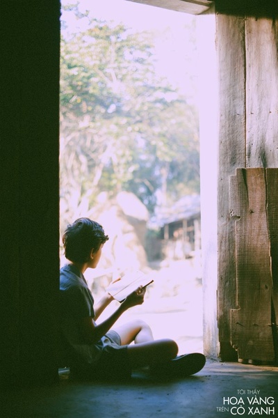 绿地黄花剧照的剧照