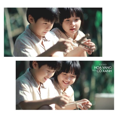 绿地黄花剧照的剧照