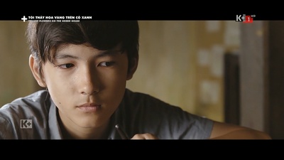 绿地黄花剧照的剧照