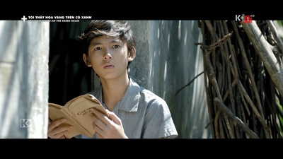 绿地黄花剧照的剧照