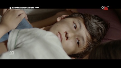 绿地黄花剧照的剧照