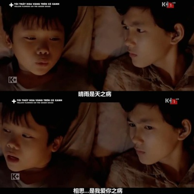 绿地黄花剧照的剧照