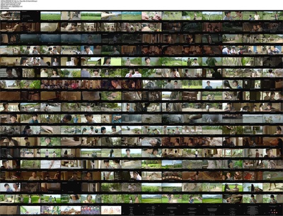 绿地黄花剧照的剧照