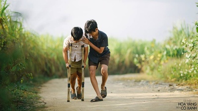 绿地黄花剧照的剧照