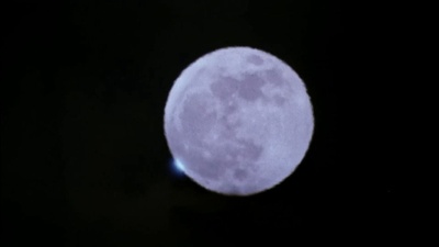 新难兄难弟剧照的剧照