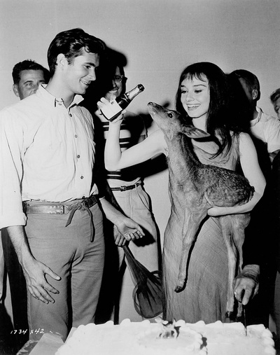 翠谷香魂剧照的剧照